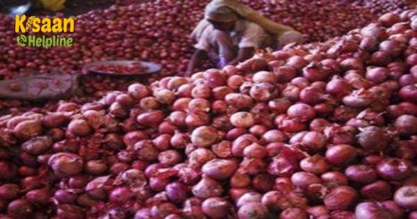 थोक में प्याज के दाम 10 दिन में दोगुना होकर 80 रुपये किलो हो गए हैं